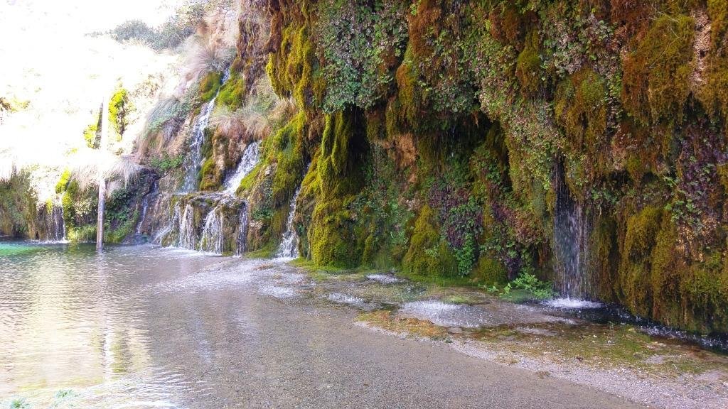 Mossy rock wall and calm river edge in Kourtaliotiko Gorge